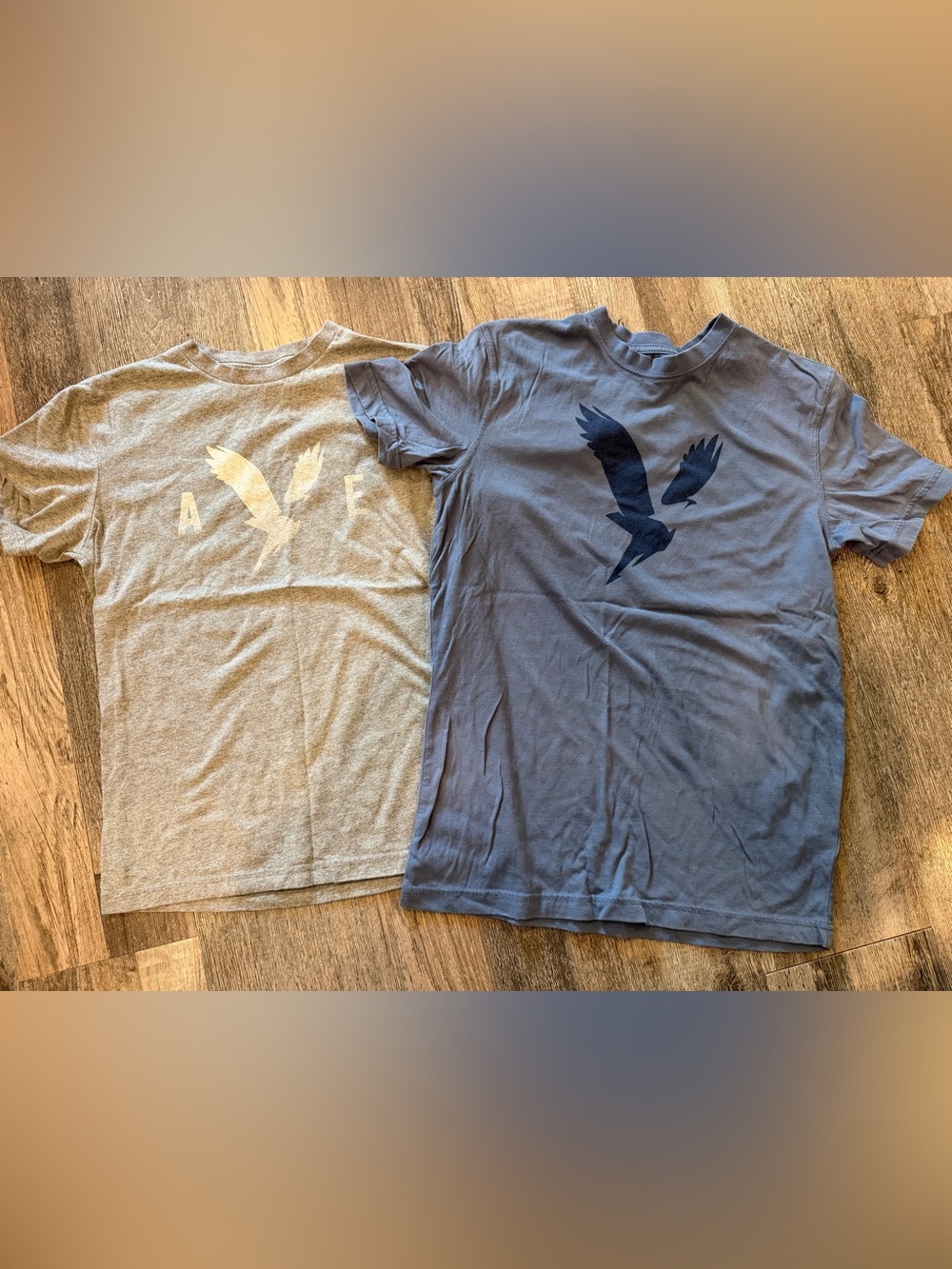 American Eagle Outfitters Men’s Short Sleeve Tee Set - Blue & Heather Gray